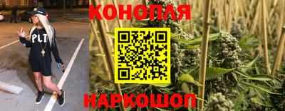a pvp Шебекино