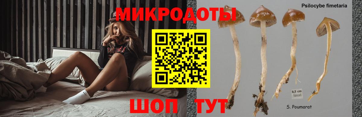 Красноярск  Псилоцибиновые грибы прущие грибы  Галлюциногенные грибы Magic Shrooms  Вход с VPN 